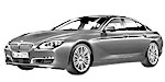 BMW F06 P1E63 Fault Code